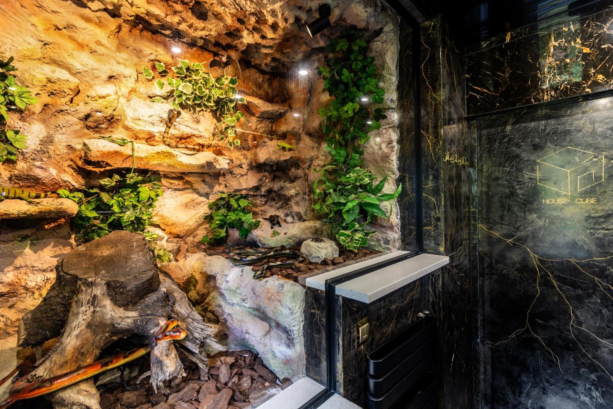 Housecube, Bar , Prywatne Kino, Bilard , Luxus Villa วรอตซวาฟ ภายนอก รูปภาพ